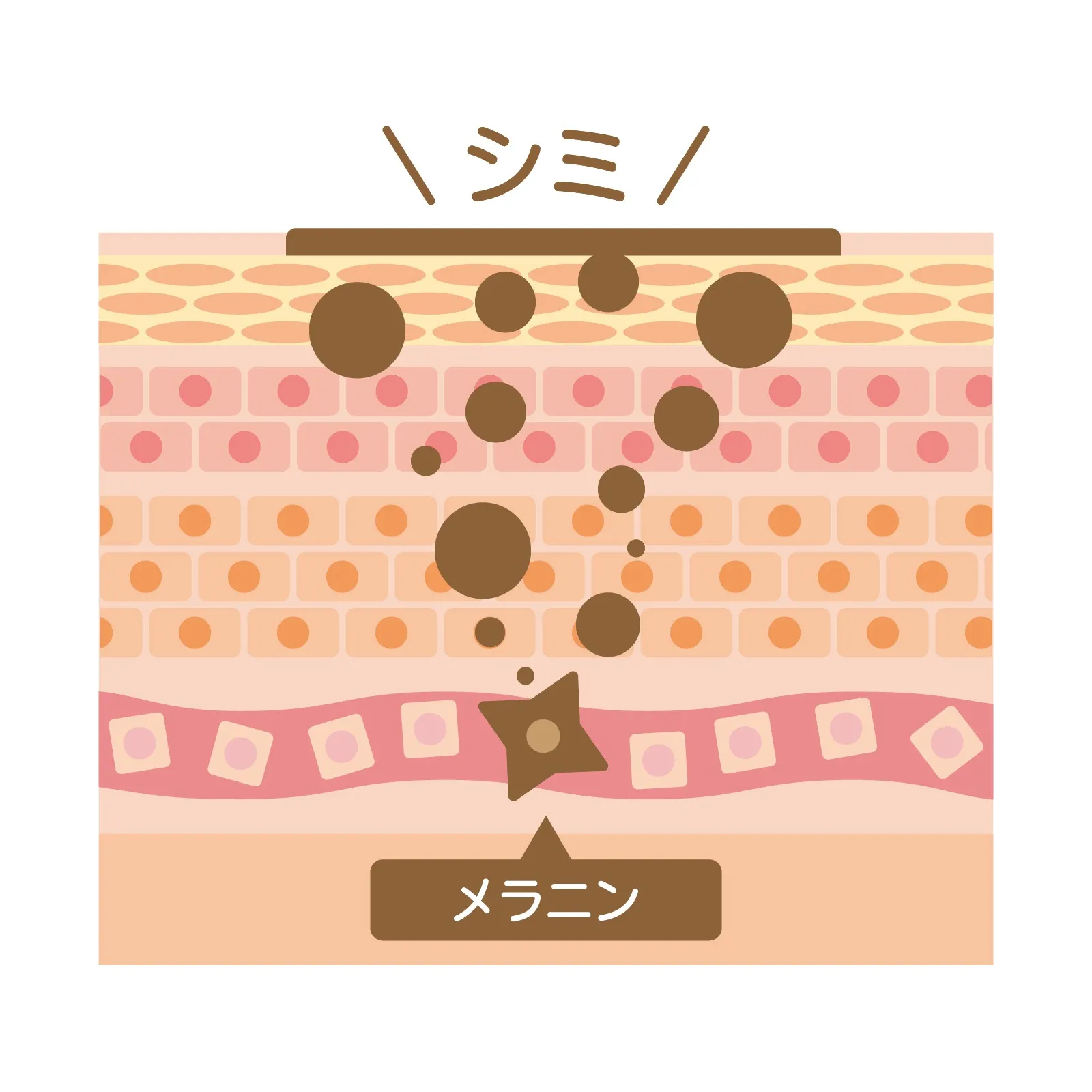 シミってメラニンを消せばOKだと思っていませんか？